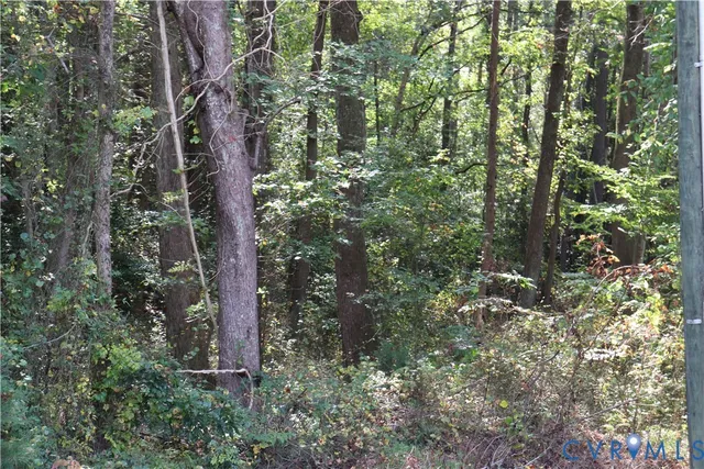 $97,500 | S Waterside Dr & South Waterside Drive, Lanexa, VA 23089