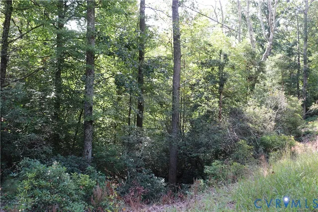 $97,500 | S Waterside Dr & South Waterside Drive, Lanexa, VA 23089