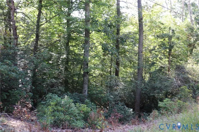 $97,500 | S Waterside Dr & South Waterside Drive, Lanexa, VA 23089