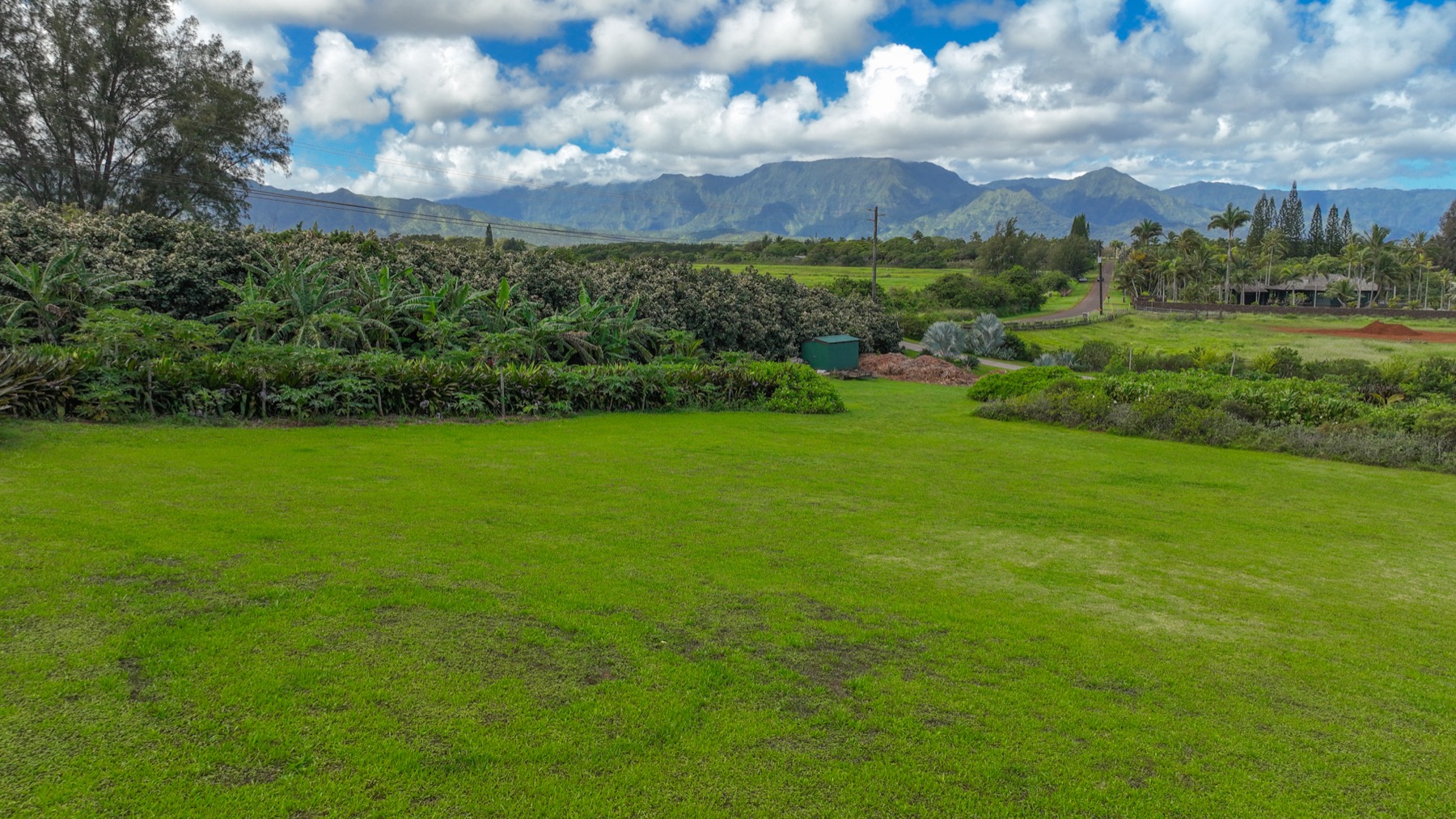 Kauapea Road Kilauea, HI 96754 - Photo 12 of 23 a view of a big yard with swimming pool and green space