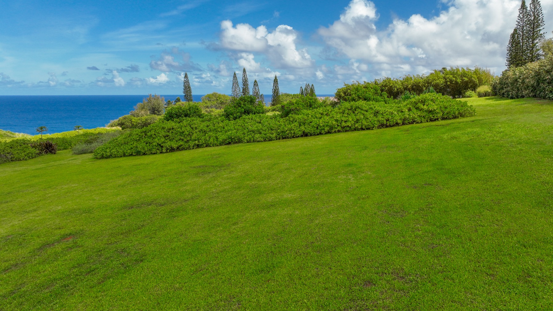 Kauapea Road Kilauea, HI 96754 - Photo 13 of 23 a view of a big yard of front of a building