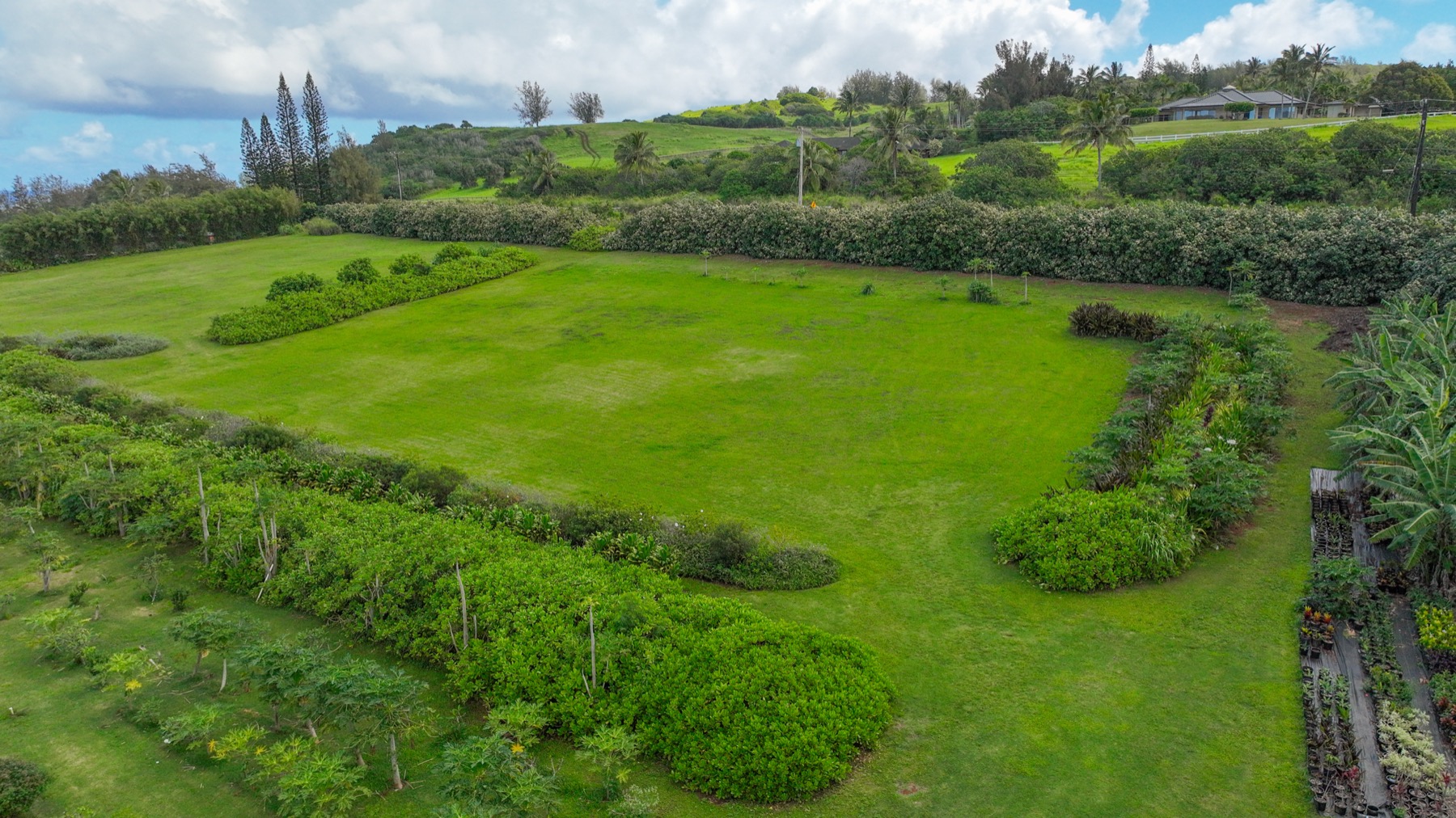 Kauapea Road Kilauea, HI 96754 - Photo 14 of 23 a view of a lush green space