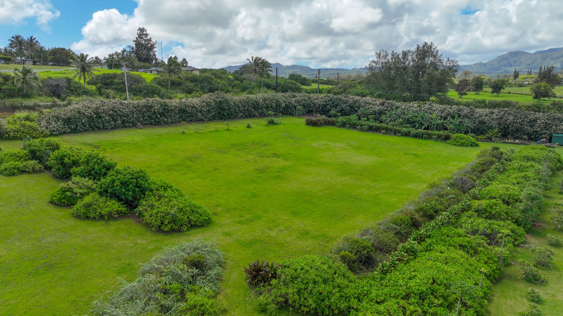 Kauapea Road Kilauea, HI 96754 - Photo 15 of 23 a view of a grassy field