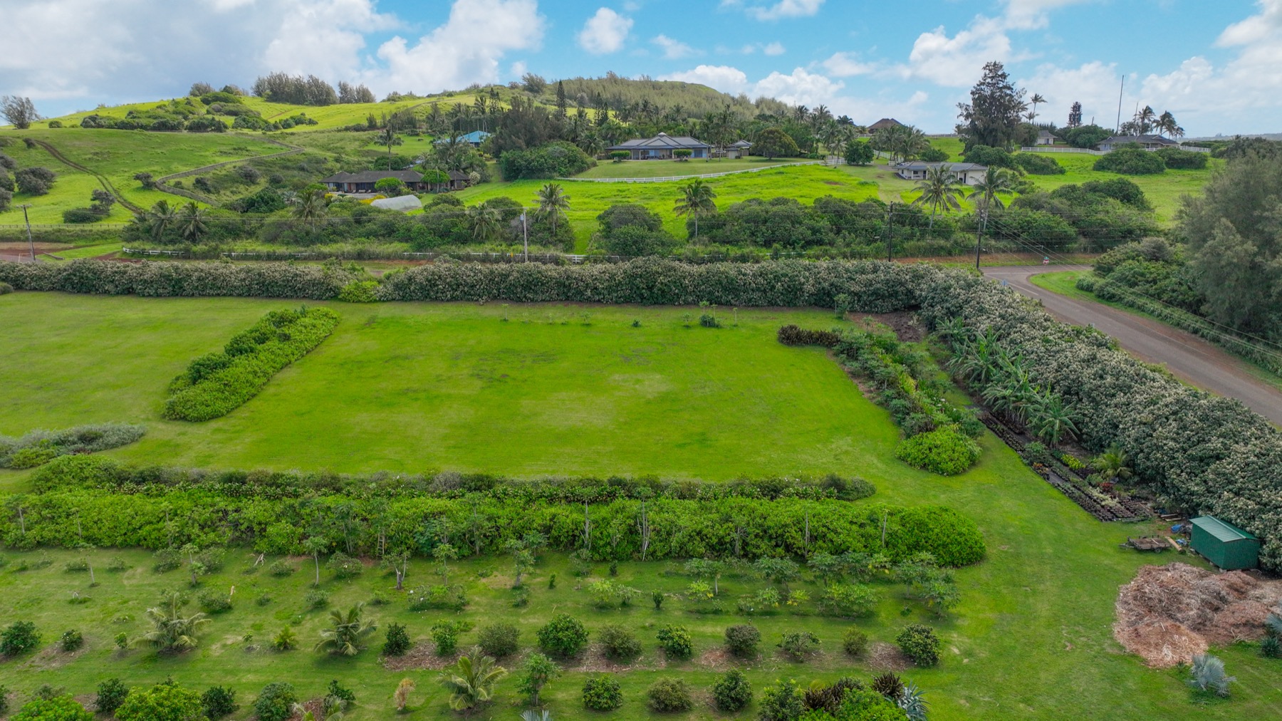 Kauapea Road Kilauea, HI 96754 - Photo 16 of 23 a view of an outdoor space and a yard