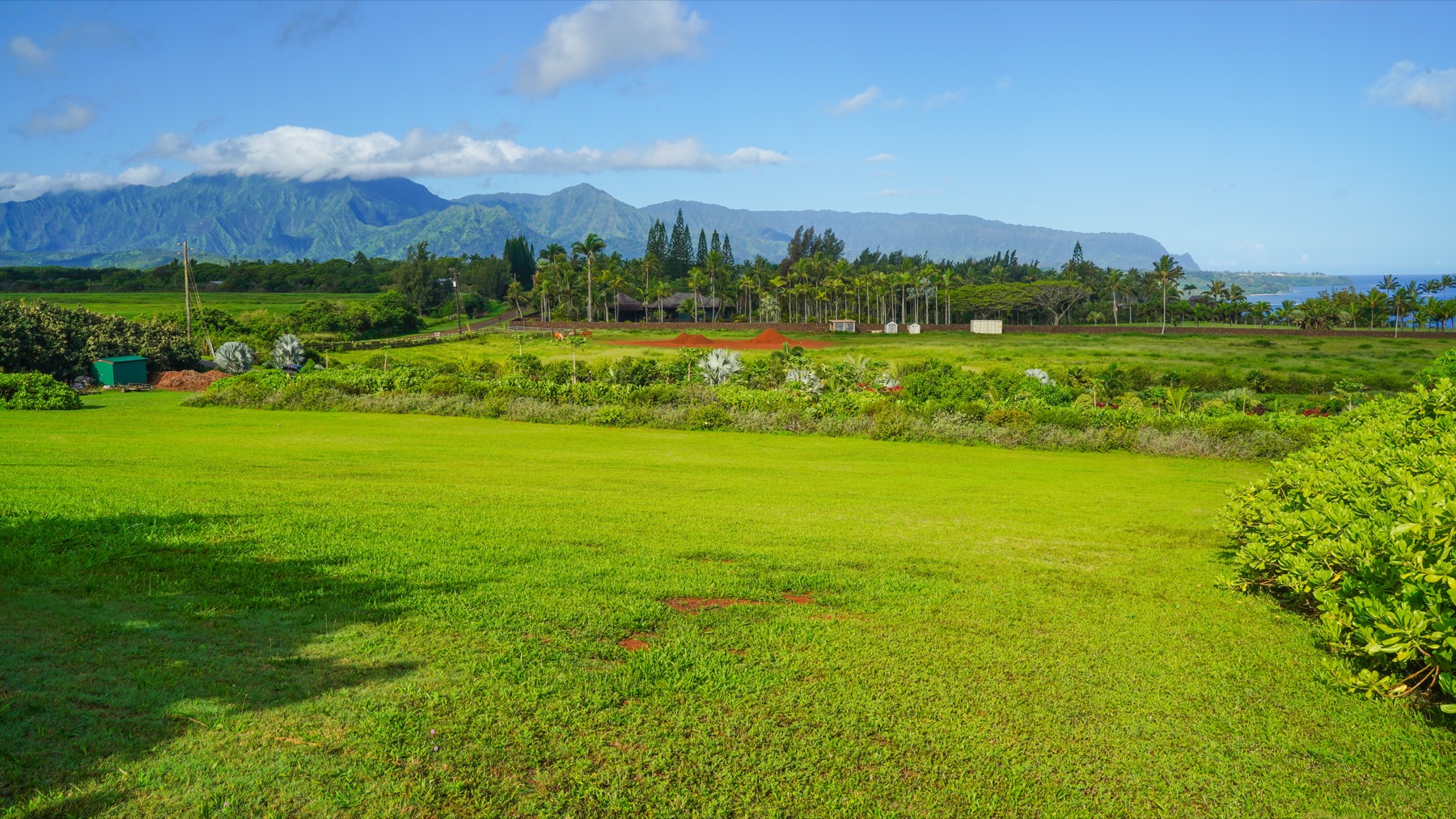 Kauapea Road Kilauea, HI 96754 - Photo 21 of 23 a view of a city