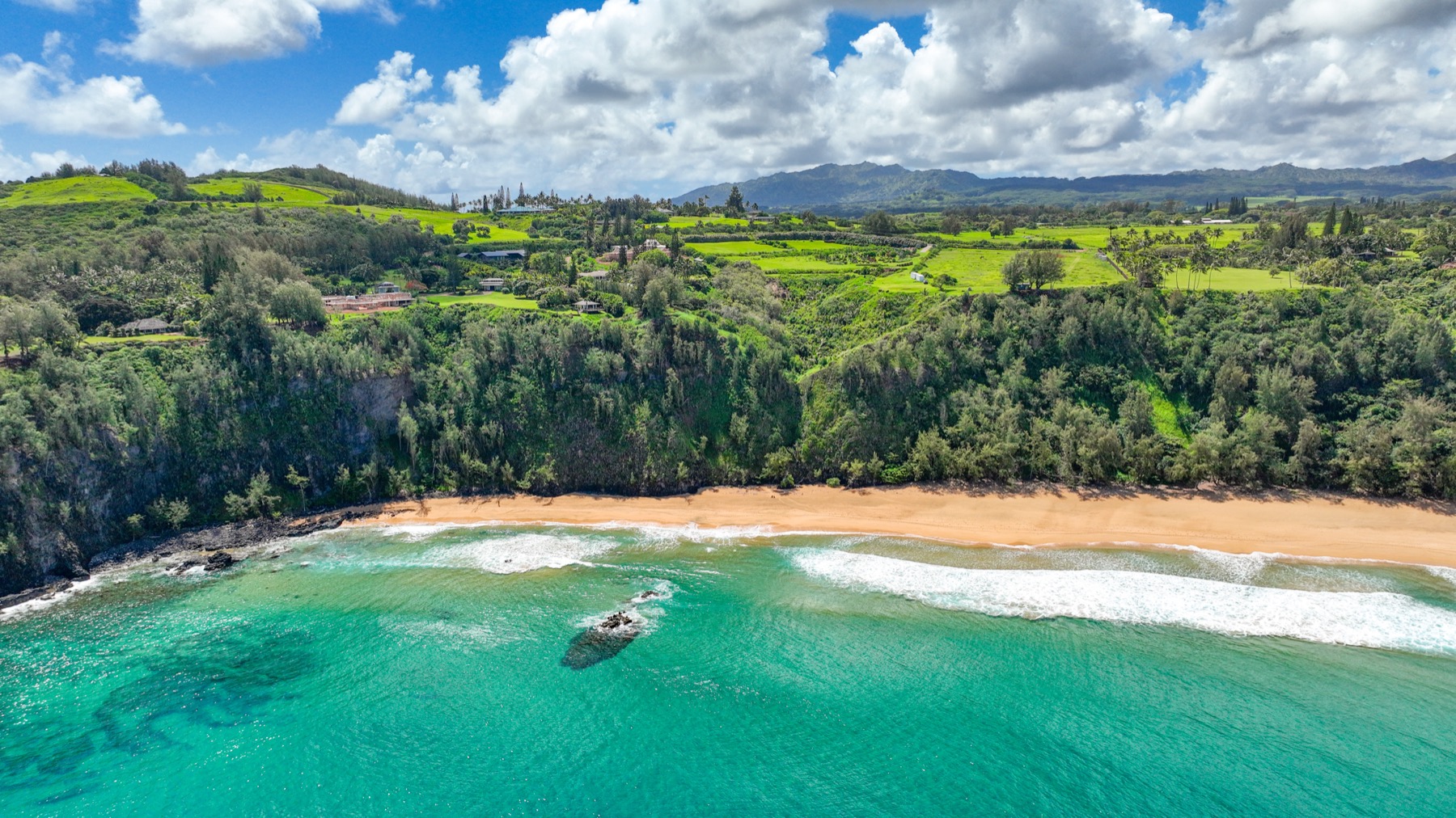 Kauapea Road Kilauea, HI 96754 - Photo 22 of 23 a view of an outdoor space and a yard