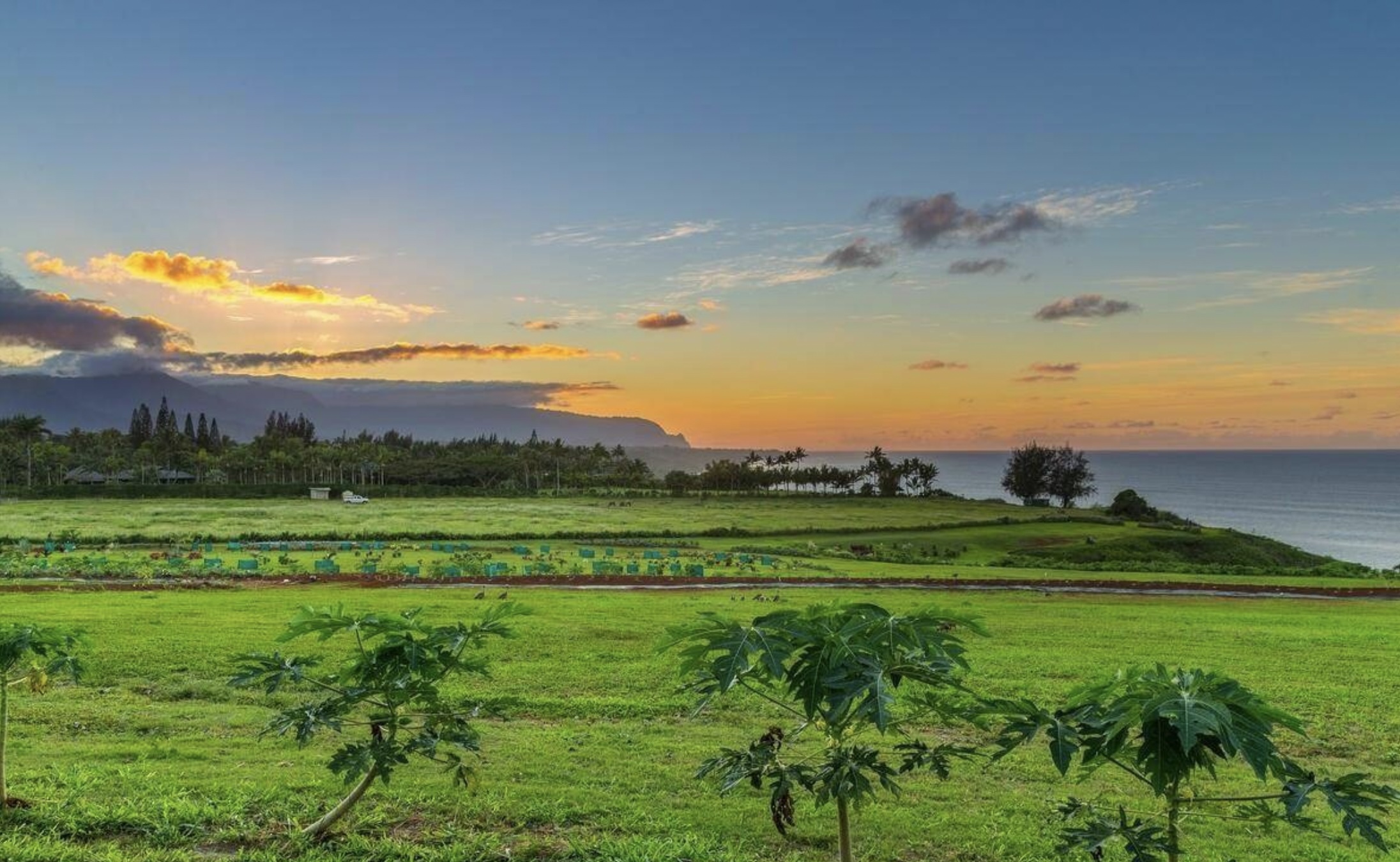 Kauapea Road Kilauea, HI 96754 - Photo 23 of 23 a view of a golf course with a lake