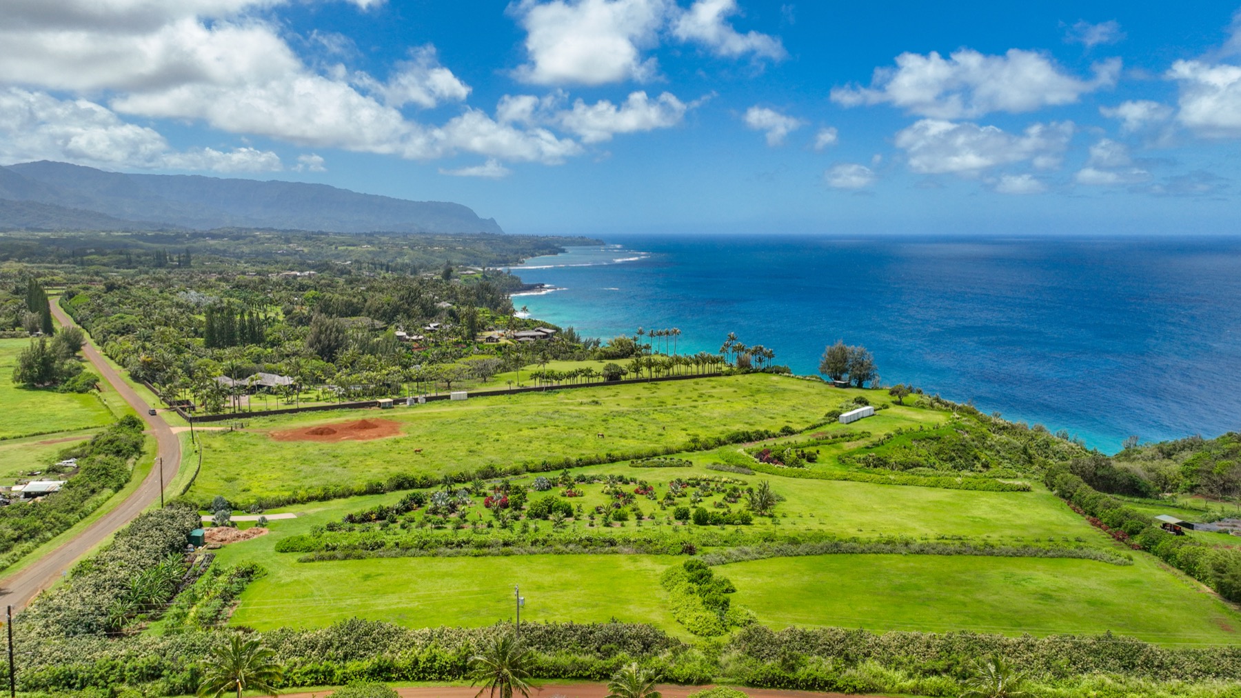 Kauapea Road Kilauea, HI 96754 - Photo 6 of 23 a view of a big yard with lots of green space