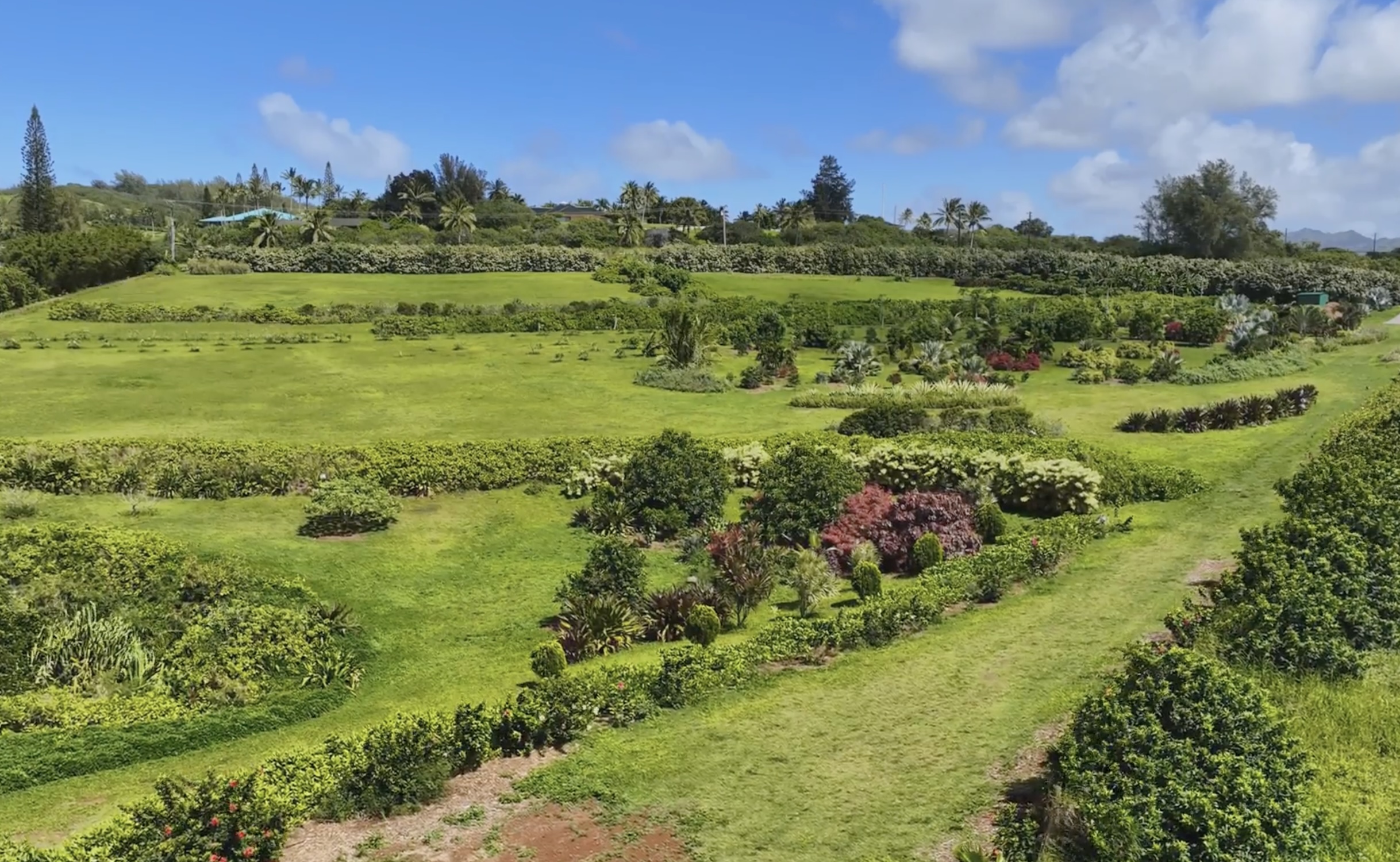 Kauapea Road Kilauea, HI 96754 - Photo 7 of 23 a view of a lush green outdoor space with a lake view