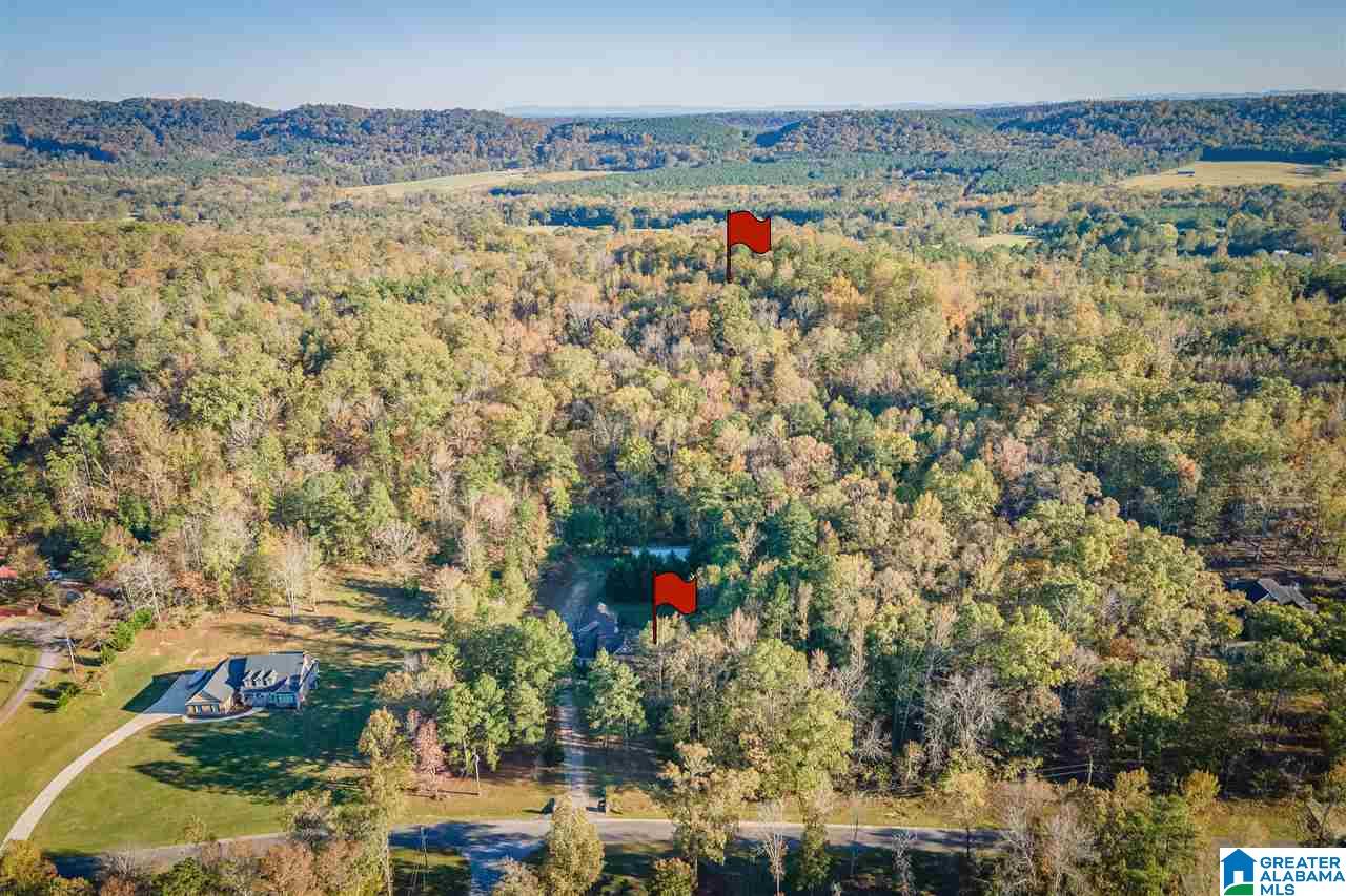 880 Lovejoy Road Ashville, AL 35953 - Photo 3 of 22
