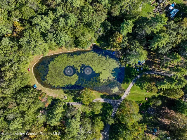 a view of outdoor space with a garden and trees