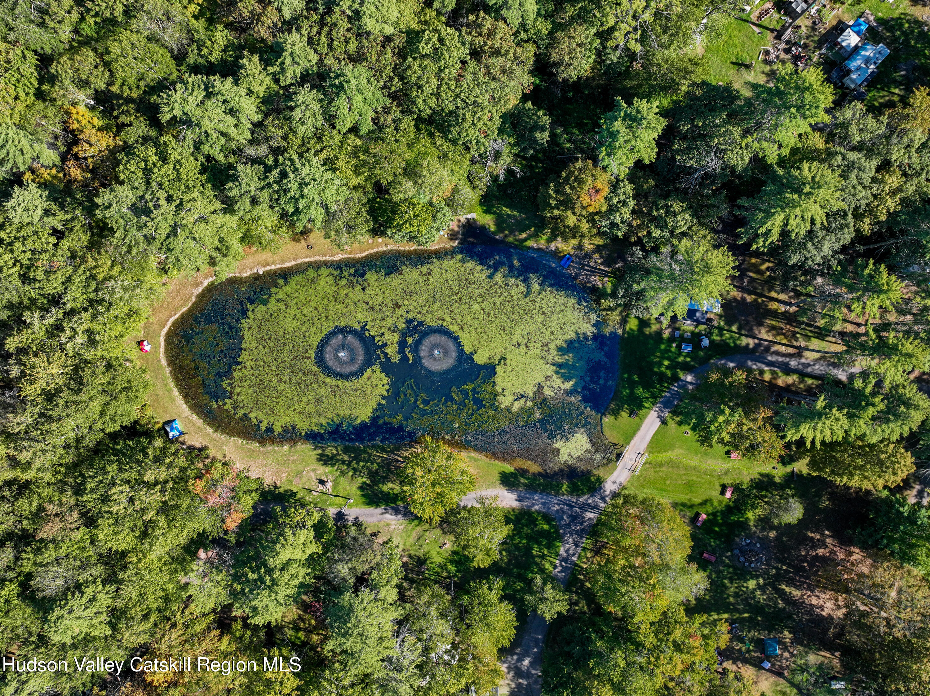 a view of outdoor space with a garden and trees