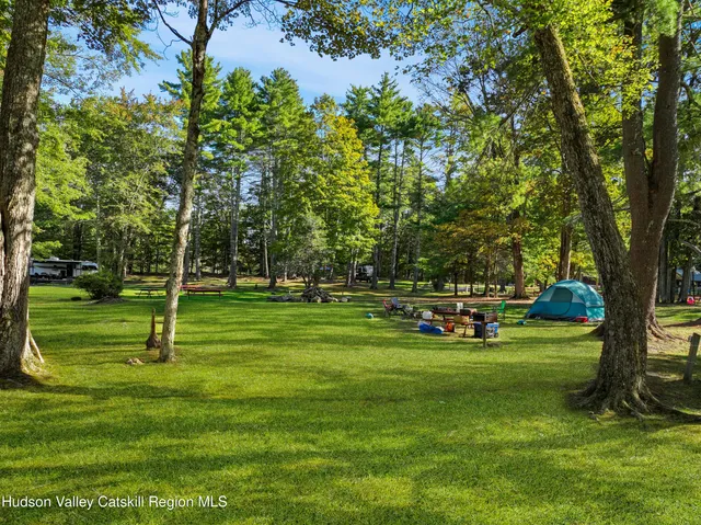 a view of a park with large trees