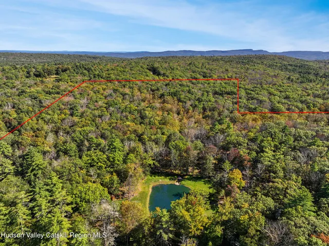 a view of a lush green field with mountains in the background