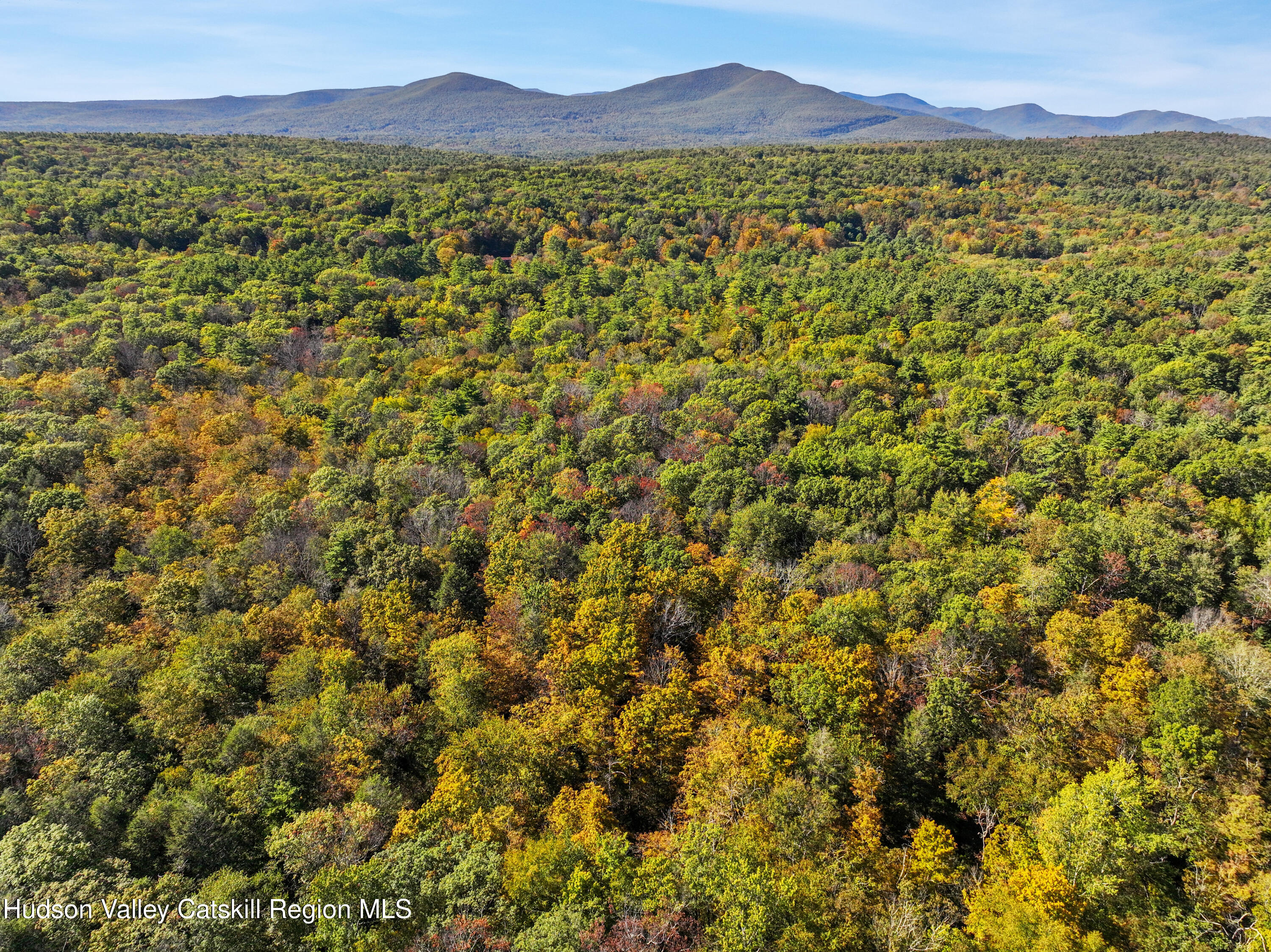 425 Woodland Road Accord, NY 12404 - Photo 27 of 28 a view of a lush green field with mountains in the background