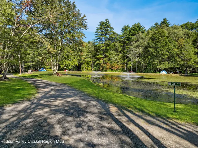 a view of a park with large trees