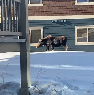 a view of house with car parked