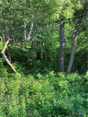 $7,500 | 715 Monroe Avenue, Evans, NY 14006