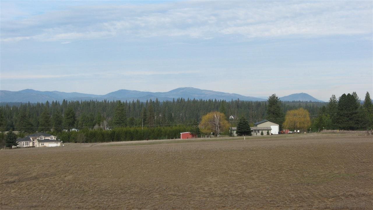 1521 West Wild Rose Road Colbert, WA 99005 - Photo 3 of 10