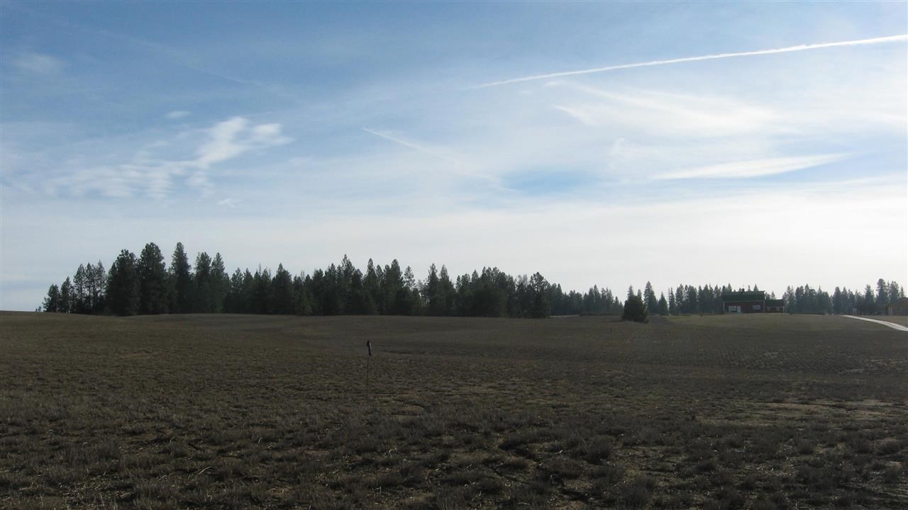 1521 West Wild Rose Road Colbert, WA 99005 - Photo 8 of 10