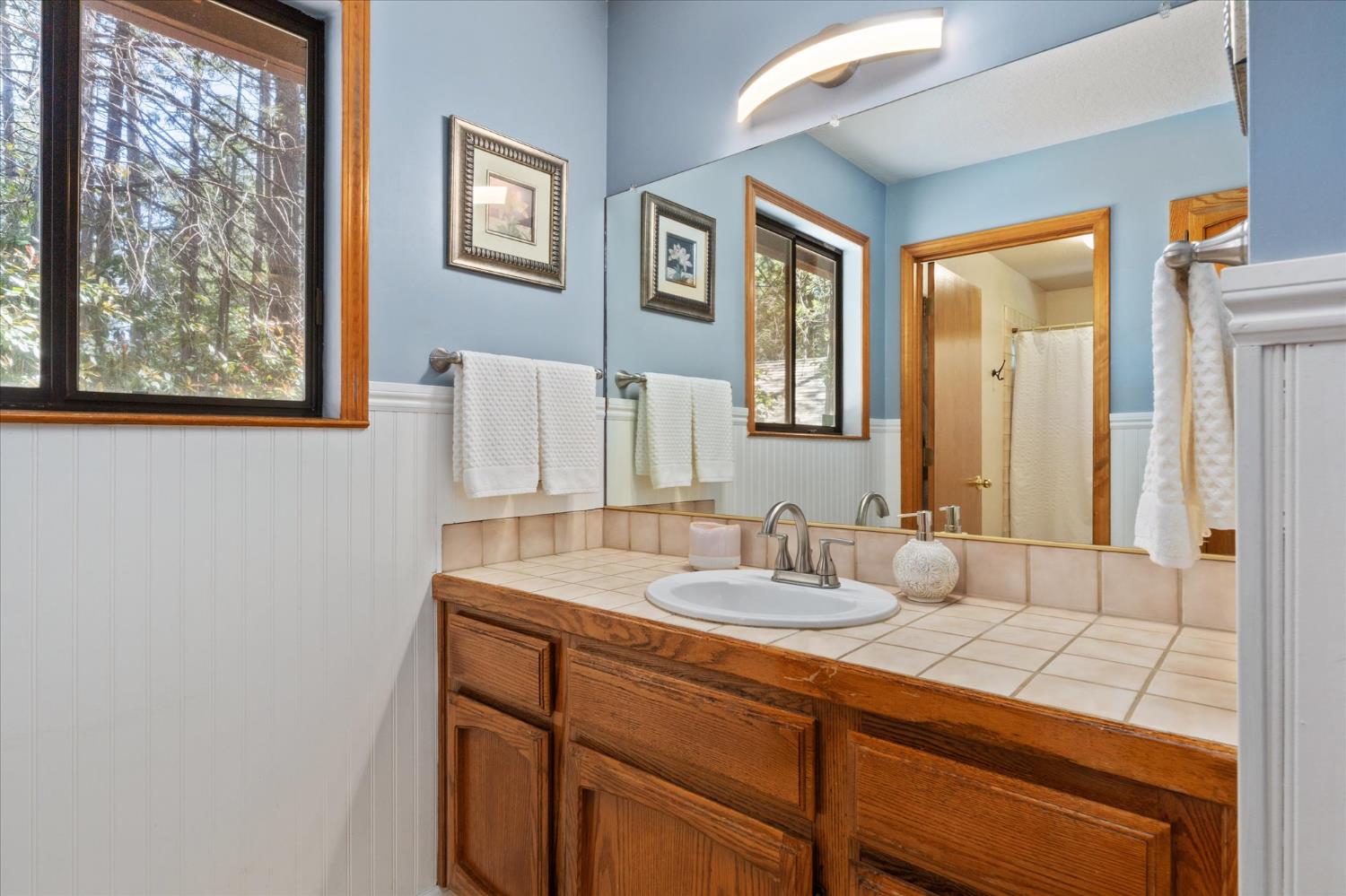 680 Larkspur Lane Murphys, CA 95247 - Photo 21 of 41 a bathroom with a sink and a mirror