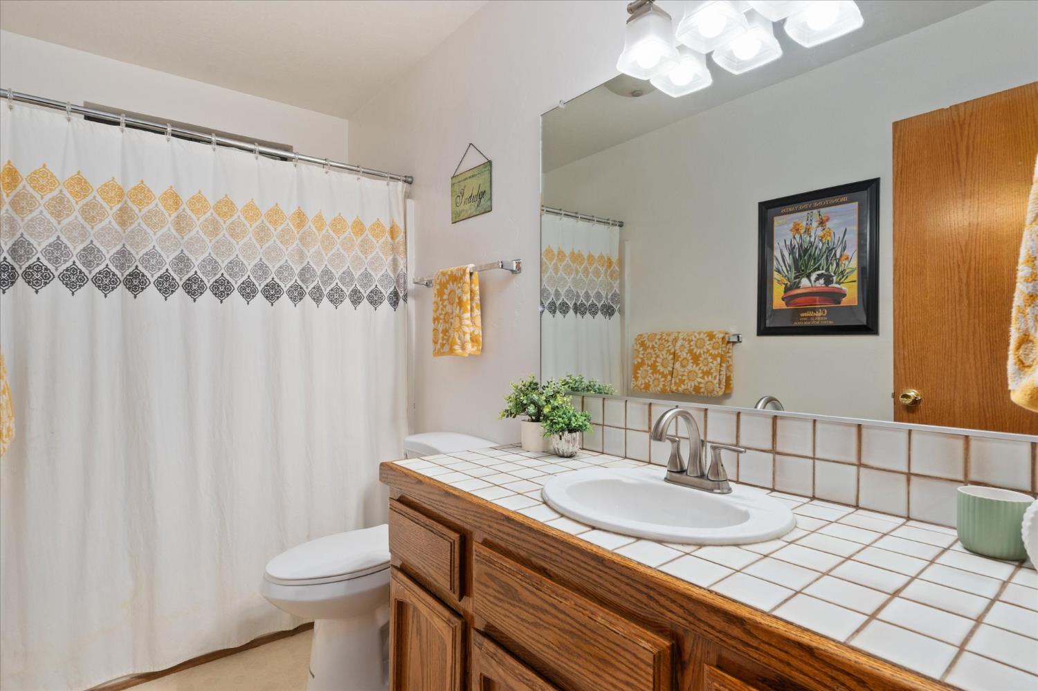 680 Larkspur Lane Murphys, CA 95247 - Photo 25 of 41 a bathroom with a sink vanity granite and toilet