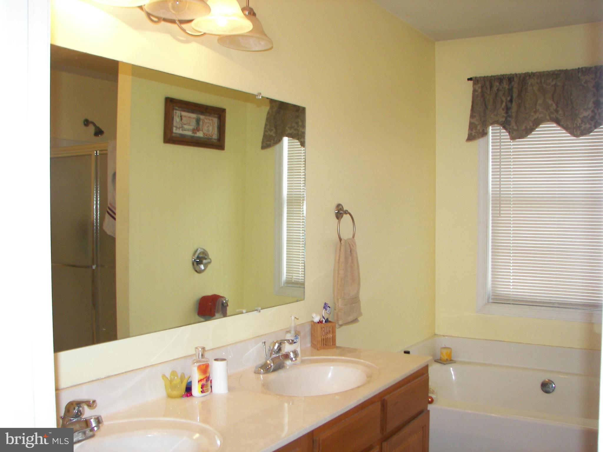 3619 Highland Ridge Road Berkeley Springs, WV 25411 - Photo 17 of 30 a bathroom with a sink and a mirror