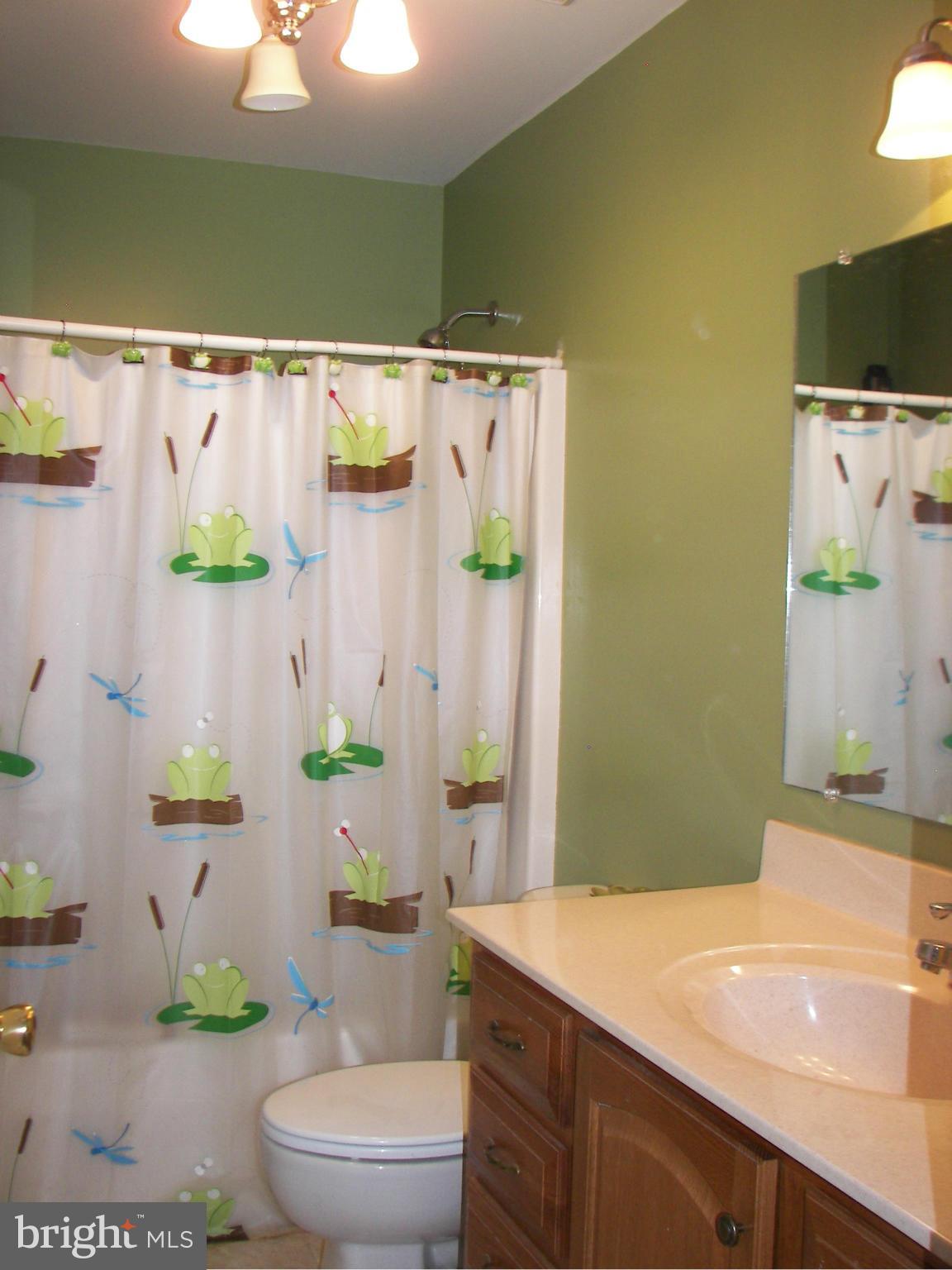 3619 Highland Ridge Road Berkeley Springs, WV 25411 - Photo 19 of 30 a bathroom with a sink a toilet and shower