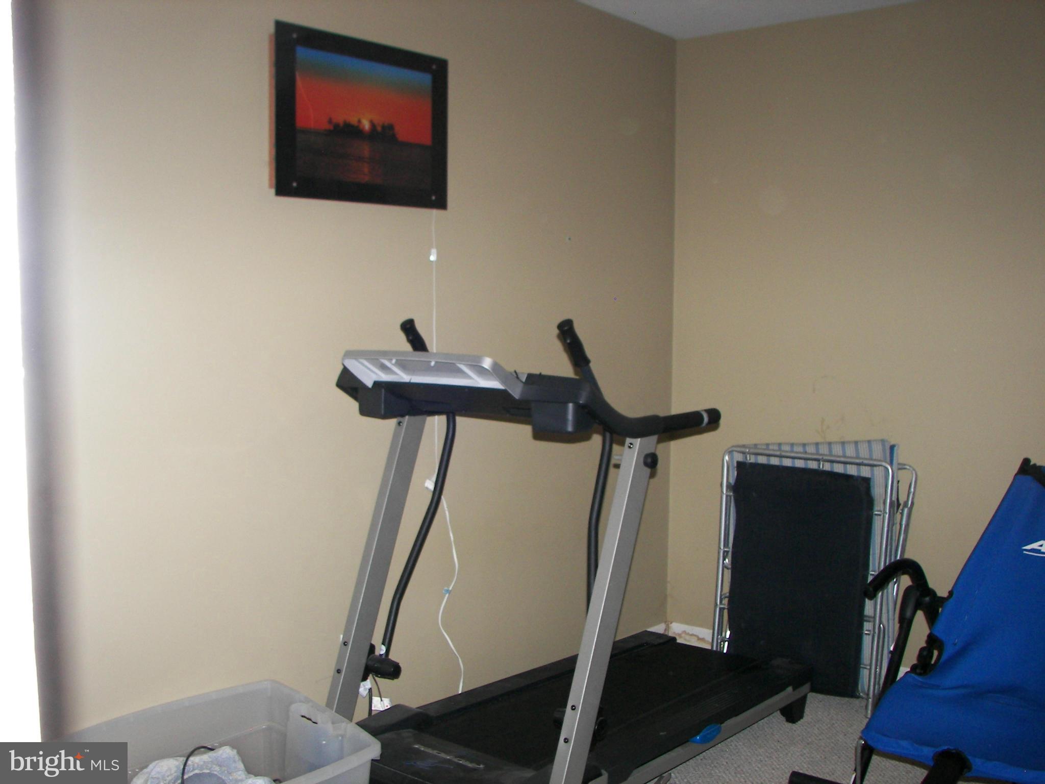 3619 Highland Ridge Road Berkeley Springs, WV 25411 - Photo 24 of 30 a view of a room with gym equipment