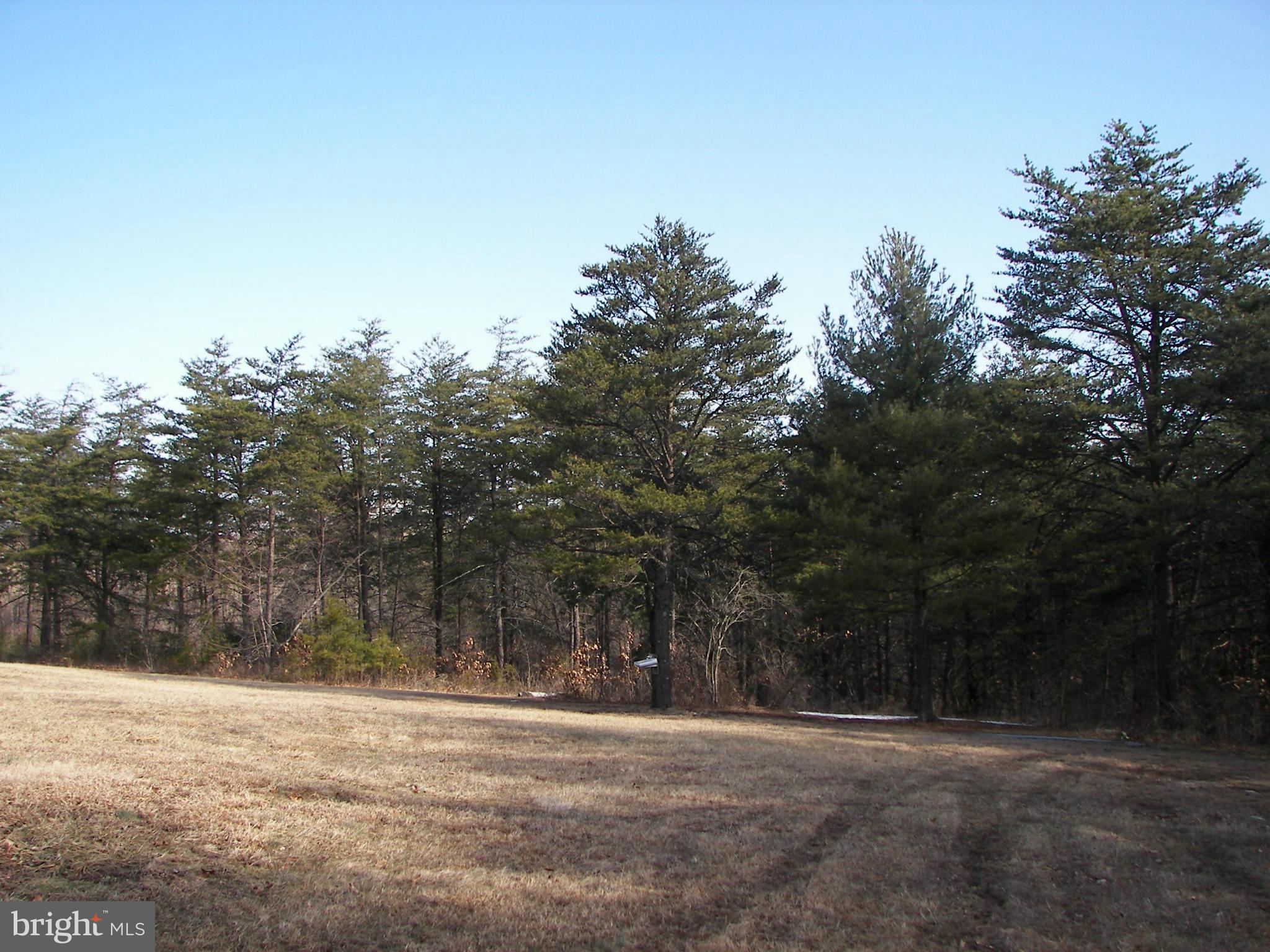 3619 Highland Ridge Road Berkeley Springs, WV 25411 - Photo 29 of 30 a view of outdoor space with trees all around