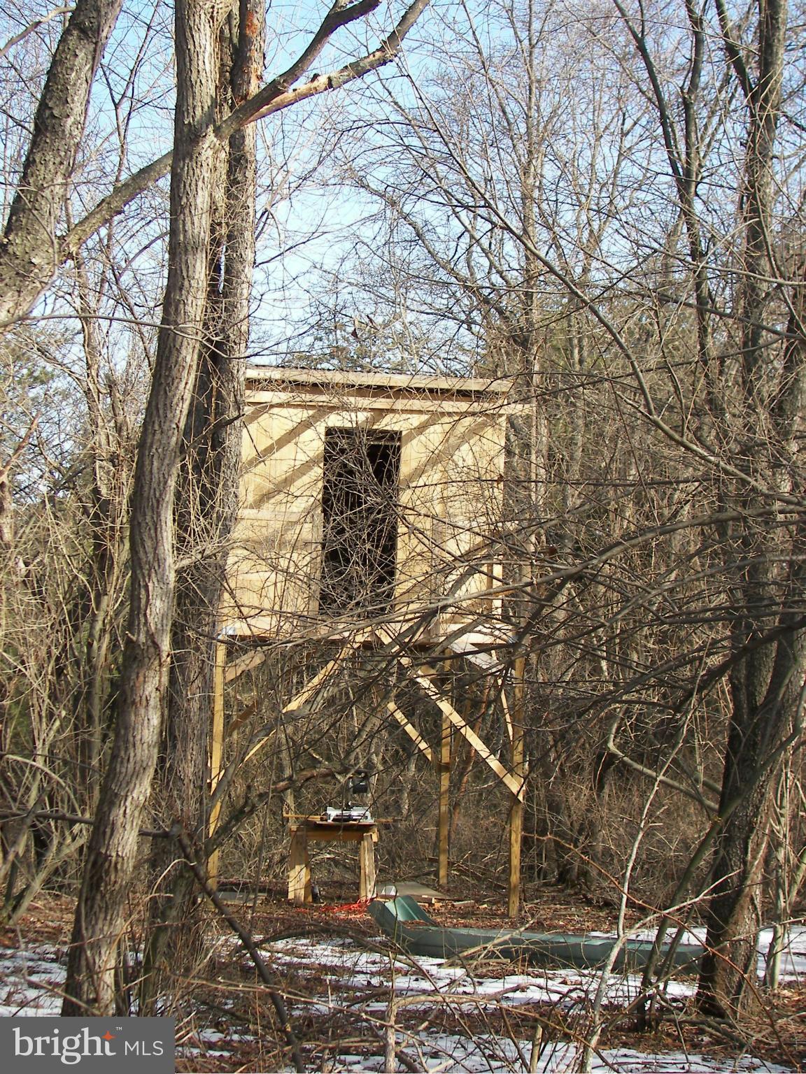 3619 Highland Ridge Road Berkeley Springs, WV 25411 - Photo 30 of 30