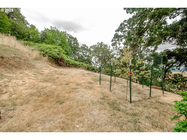 a view of an outdoor space and yard