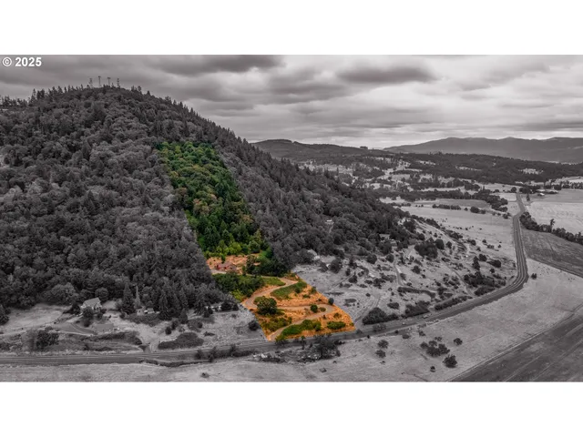 a black and white photo of a field