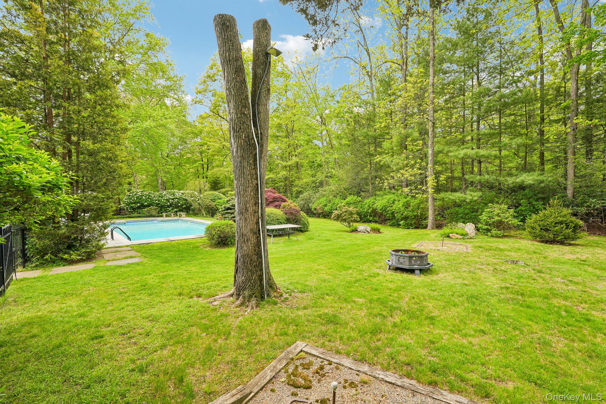 27 Cat Ridge Road North Salem, NY 10560 - Photo 9 of 49 a view of a yard with a tree