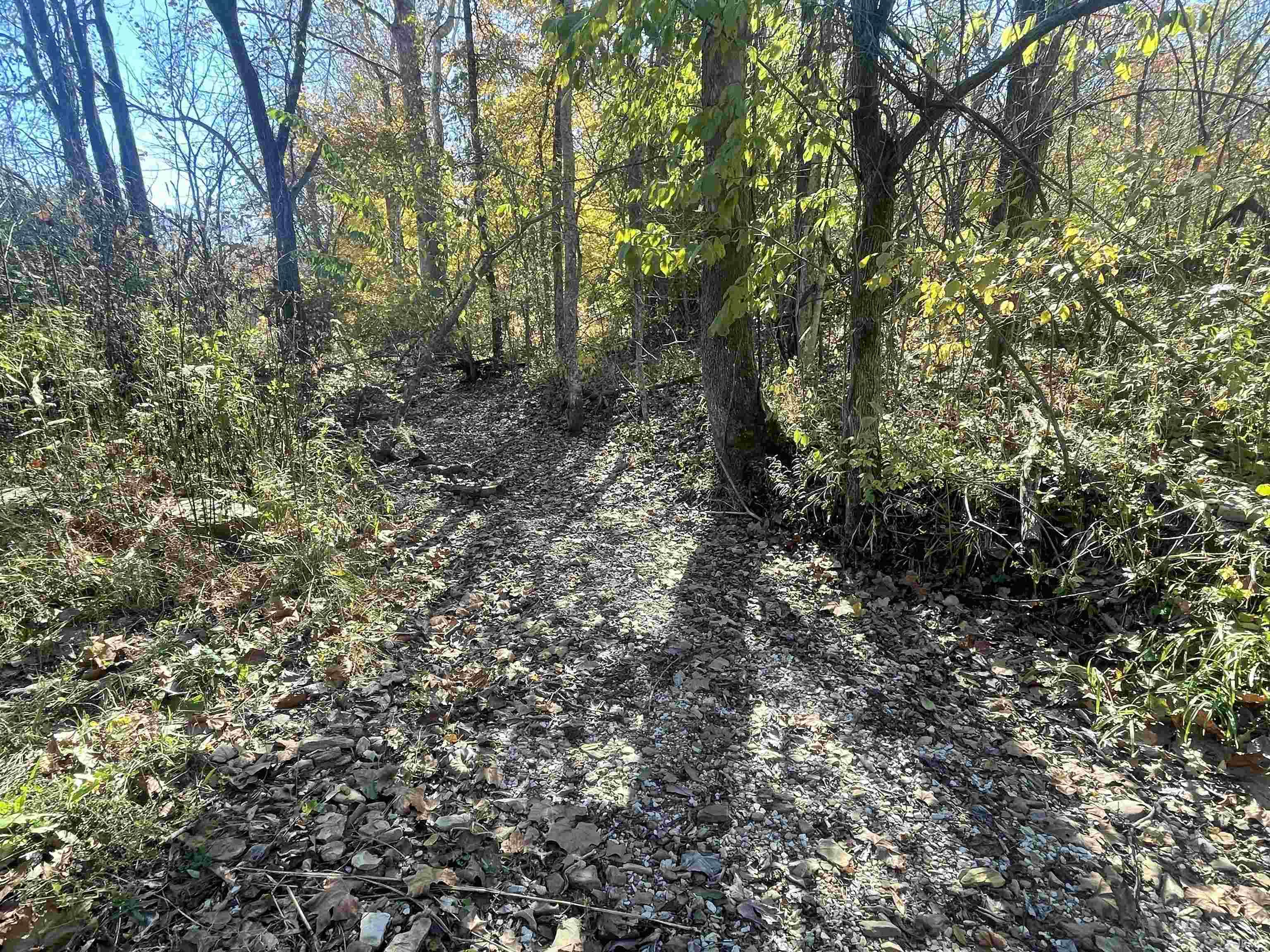 0 North Newark Solsberry, IN 47459 - Photo 3 of 7