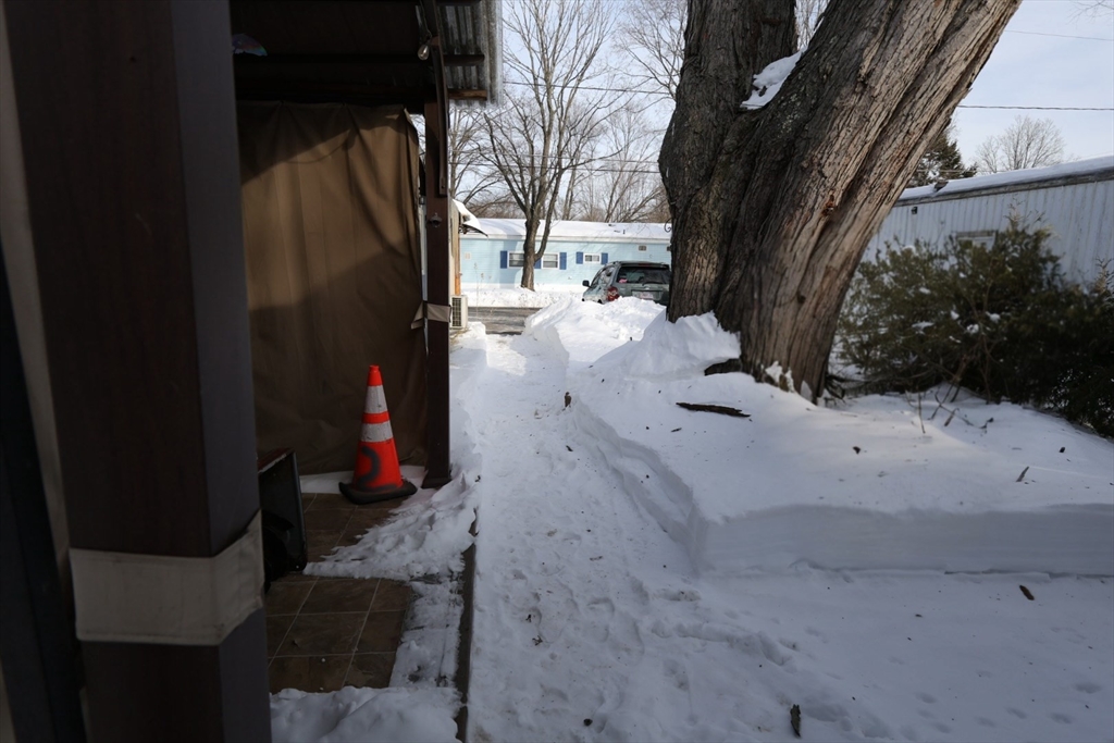 42 Better Way Springfield, MA 01119 - Photo 6 of 18 a view of path along with trees