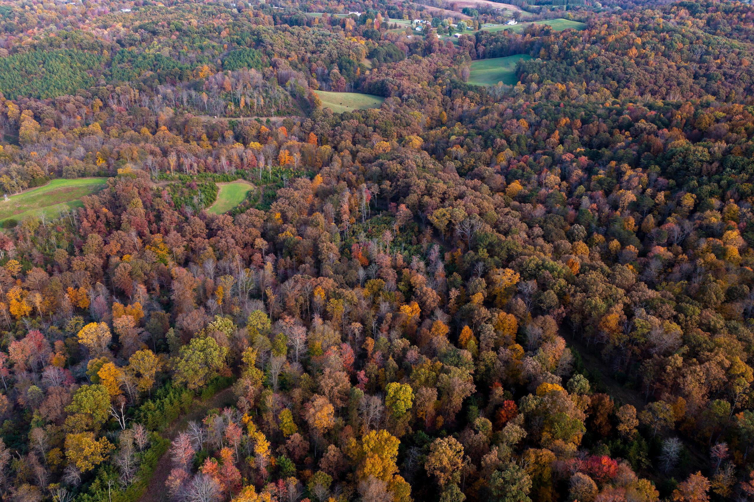 1426 Sealy Ridge Road Vincent, OH 45784 - Photo 17 of 52 DJI_0801-79