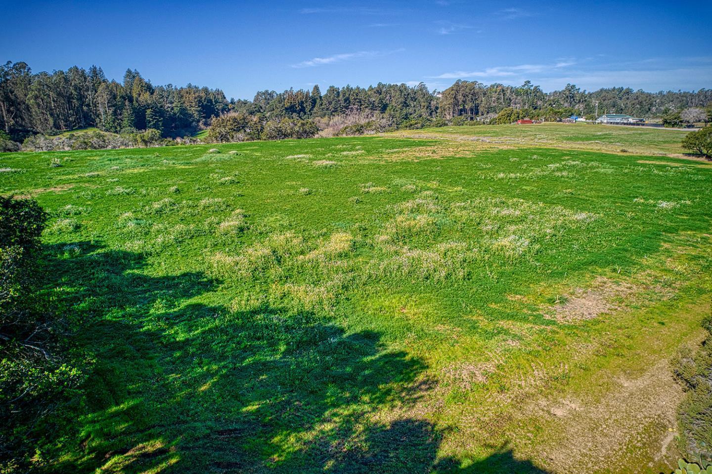571 Calabasas Road Watsonville, CA 95076 - Photo 3 of 6 a view of outdoor space and yard
