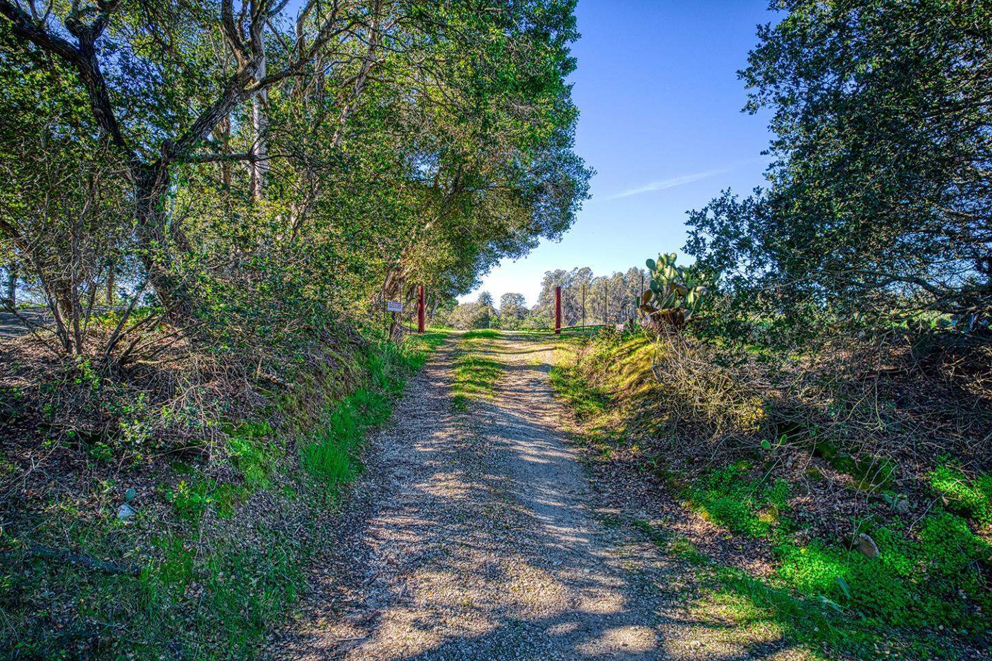 571 Calabasas Road Watsonville, CA 95076 - Photo 6 of 6 a view of a yard with an trees