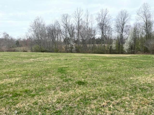 301 Wheat Road Columbia, KY 42728 - Photo 3 of 21 1258637-2
