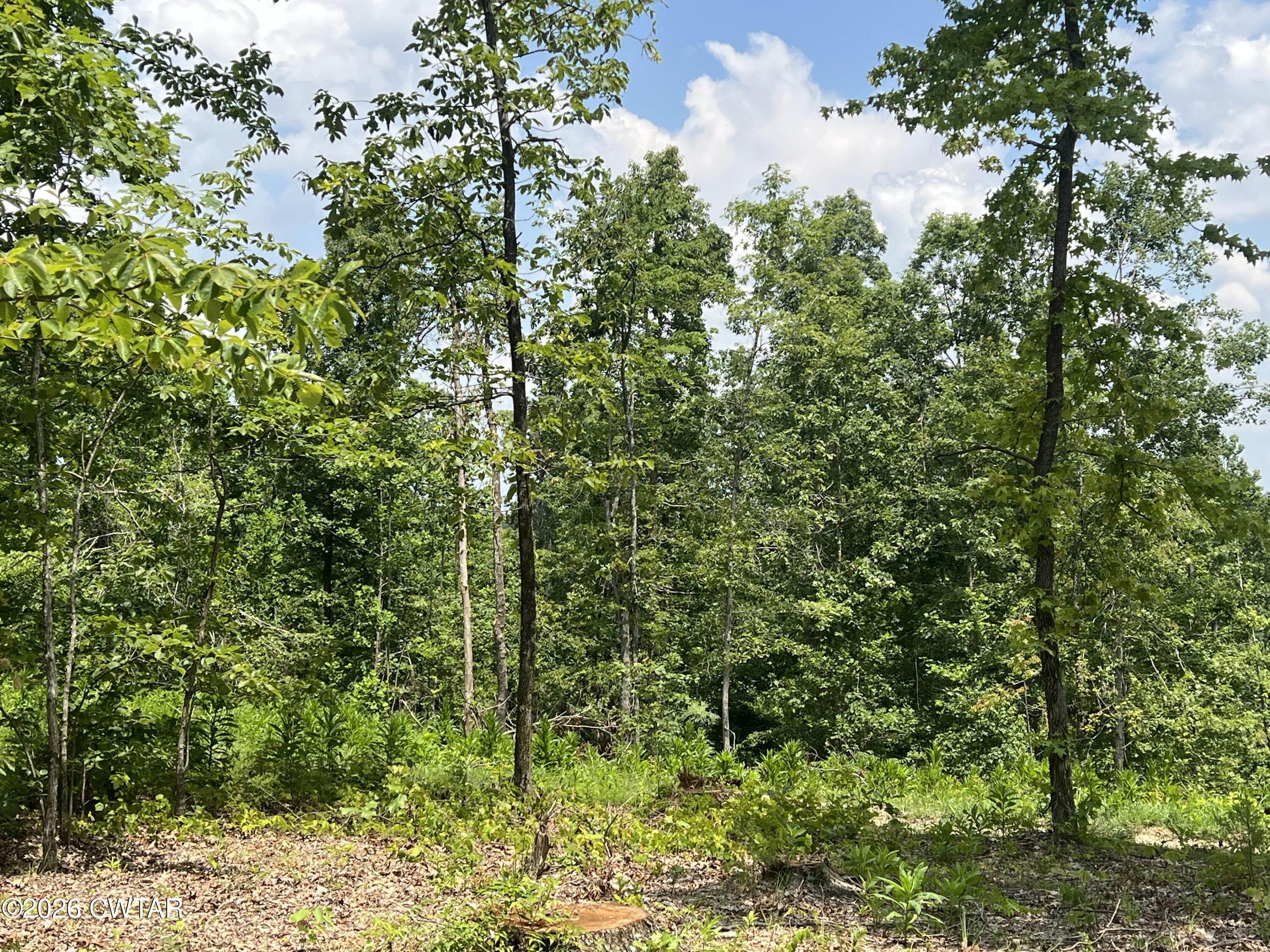 4600 Silerton Road Henderson, TN 38340 - Photo 13 of 16 IMG_6472