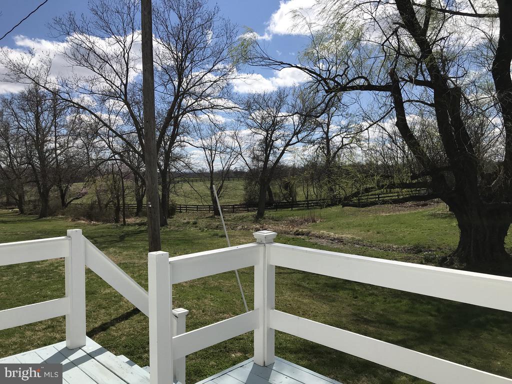 Back deck view of woods, paddock