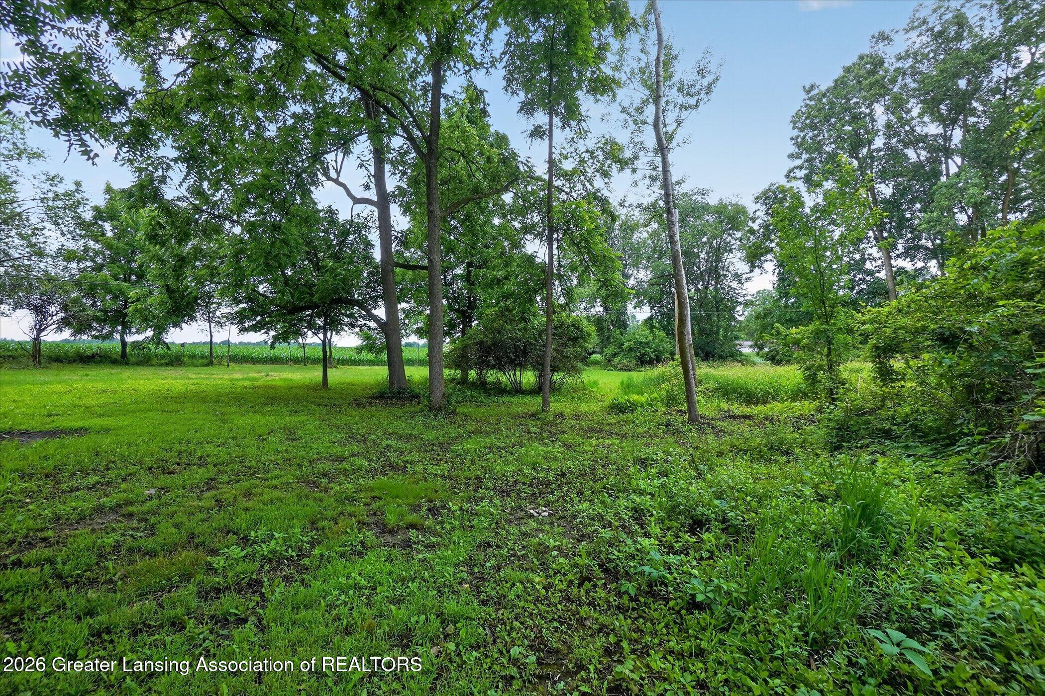 1695 West Solon Road Dewitt, MI 48820 - Photo 40 of 50 46-1695-W-Solon-Rd-WindowStill
