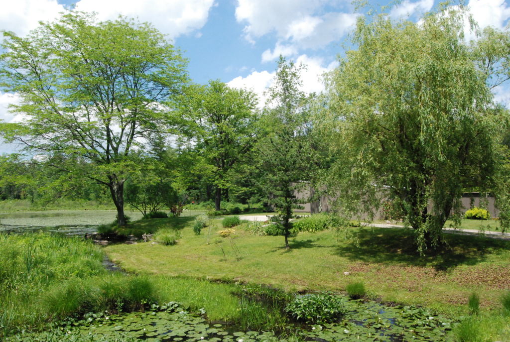 24 Blue Hill Road Monterey, MA 01245 - Photo 23 of 35 a view of outdoor space and yard