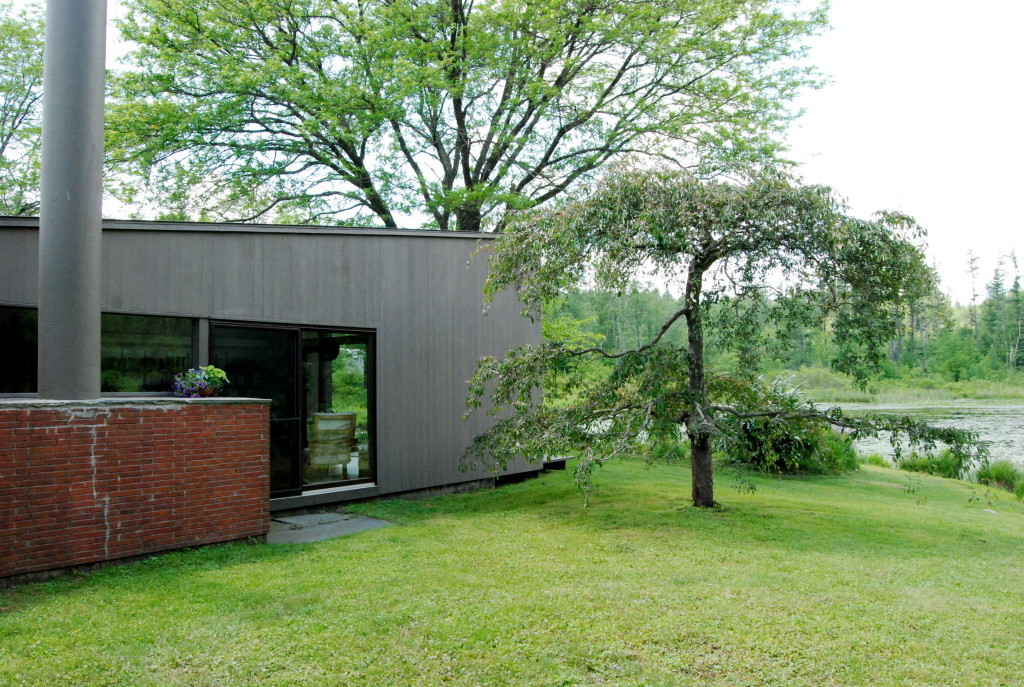 24 Blue Hill Road Monterey, MA 01245 - Photo 5 of 35 a view of a backyard with a small cabin