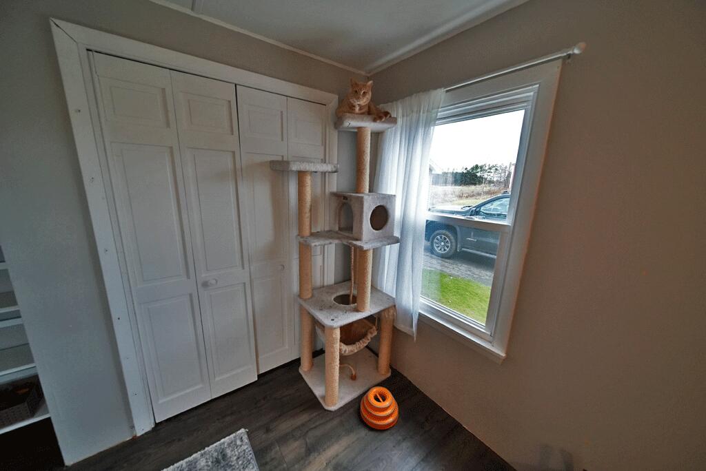 513 Calais Road Houlton, ME 04730 - Photo 46 of 85 hobbs-cat-hodgdon-home