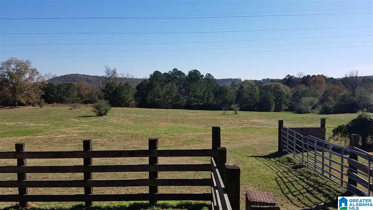 298 Bowerman Road Blountsville, AL 35031 - Photo 11 of 30