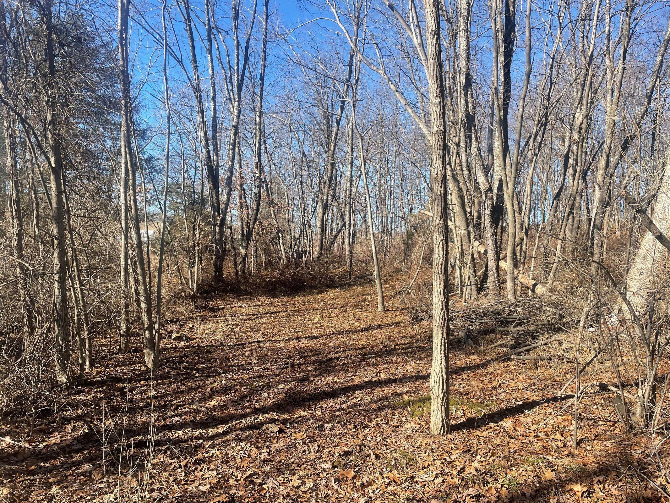 0 Pleasant Valley Road Raphine, VA 24472 - Photo 2 of 4 a view of a backyard of the house