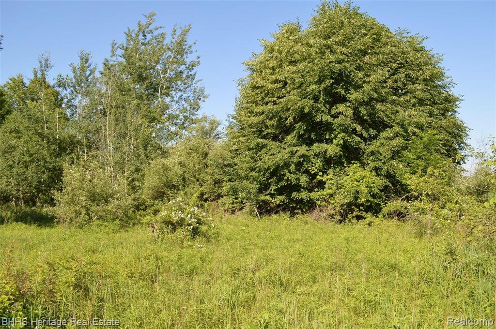 Vl North Nicholson Road Fowlerville, MI 48836 - Photo 5 of 7