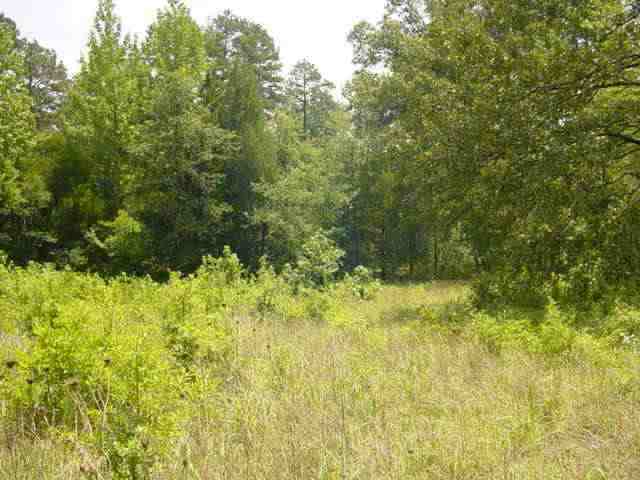 1150 State Rd S-42-1916 Cowpens, SC 29330 - Photo 7 of 10 Gallery Image 7